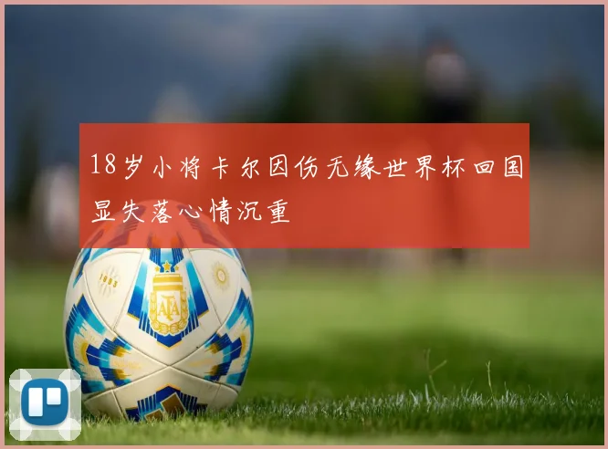 18岁小将卡尔因伤无缘世界杯回国显失落心情沉重