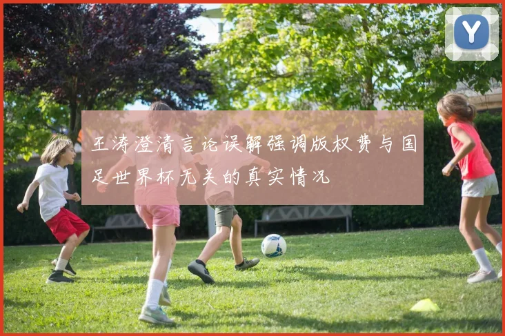 王涛澄清言论误解强调版权费与国足世界杯无关的真实情况