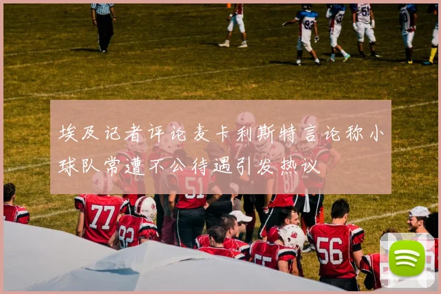 埃及记者评论麦卡利斯特言论称小球队常遭不公待遇引发热议